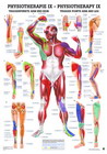 Physiotherapie Poster - Triggerpunkte Arm und Bein